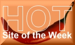 'Hot Site of the Week' 43/2002 bei netandmore.de