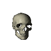 Description: skull.gif (40167 bytes)