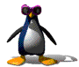 Cool Pinguin